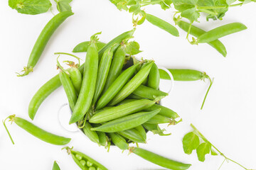 Fresh organic raw green peas peas pods in a bowl and plants leaves on white background. Healthy eating, vegan and vegetarian legume food, raw food and detox super food, bean protein, top view