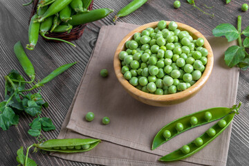 Fresh organic raw green peas in a bowl with peas plants leaves on dark wooden table background. Healthy eating, vegan and vegetarian legume food, raw food and detox super food, bean protein, close up