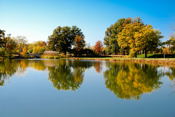 autumn trees reflected in water