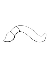 banana isolated on white