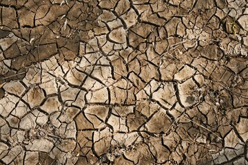 Texture of dry cracked land. Natural background. Arid climate illustration. Drought concept.