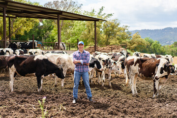 Man cowboy at cow farm ranch