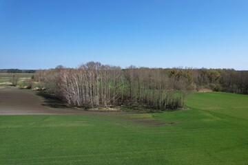 Eggesin, Landschaft am Bärenkamp