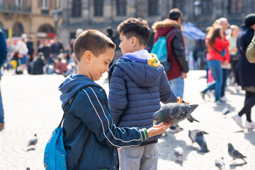Children feed pigeons in the square in the city.