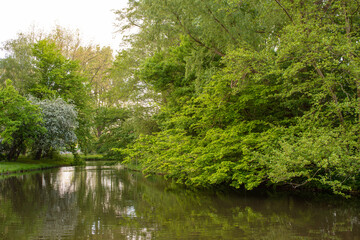 A pond surrounded by trees and vegetation.