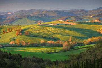 Fototapeta na wymiar Summer rural landscape of rolling hills, curved roads and cypresses of Tuscany, Italy