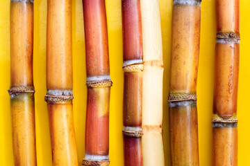 Sugar cane on yellow background.