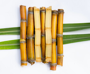 Sugar cane on white background.