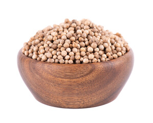 Coriander seeds in wooden bowl, isolated on white background. Cilantro grain. Organic spice.