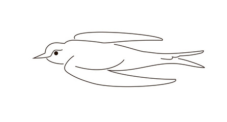 Swallow in flight drawn in one line style. The bird is flying. Spring symbol. Vector illustration isolated on white background.
