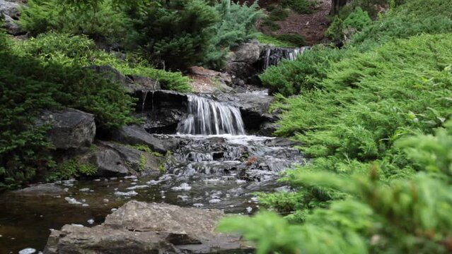Small waterfalls in lush garden setting with conifer trees.