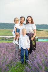 Father of young family, mother and two children, boy and girl are walking in purple lavender field