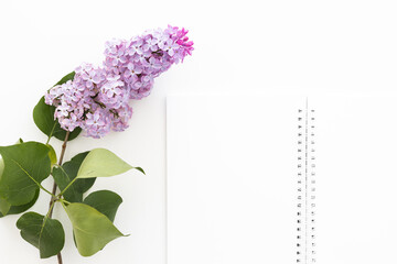 Spiral notebook and pen. Notepad with pen and flowers. Notebook lilacs on light background.