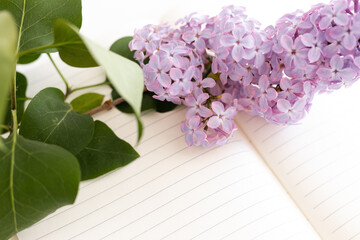 Spring lilac flowers on an unfolded white notebook