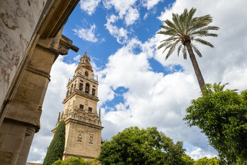 Obraz premium Cordoba s cathedral with a high palm tree and a blue sky very clouded 