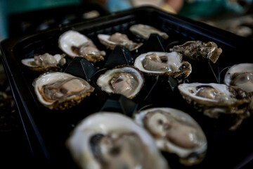 Operations at a large oyster processing facilities the US