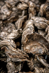 Operations at a large oyster processing facilities the US