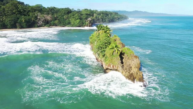 caribbean jungle near the sea from aerial point of view