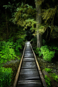 A Small Boardwalk En Route To Lake 22, Illuminated At Night In A