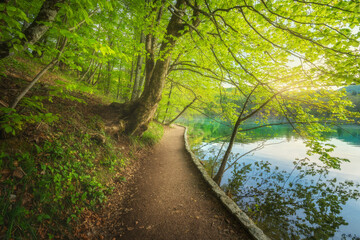 Path in beautiful forest near the lake at sunset in spring. Plitvice Lakes, Croatia. Colorful landscape with trail, trees with green leaves, blue water in blooming park in summer. Walkway in woods