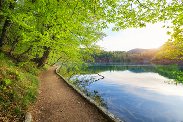 Path in beautiful forest near the lake at sunset in spring. Plitvice Lakes, Croatia. Colorful landscape with trail, trees with green leaves, blue water in blooming park in summer. Walkway in woods