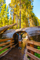 A young woman passing through a tunnel of a beautiful tree in Sequoia National Park, California. United States
