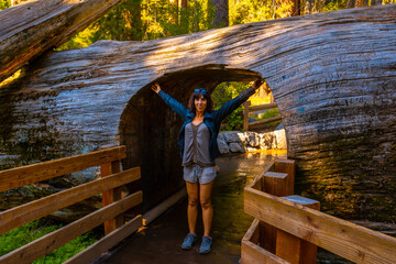 A young woman passing through a tunnel of a beautiful tree in Sequoia National Park, California....