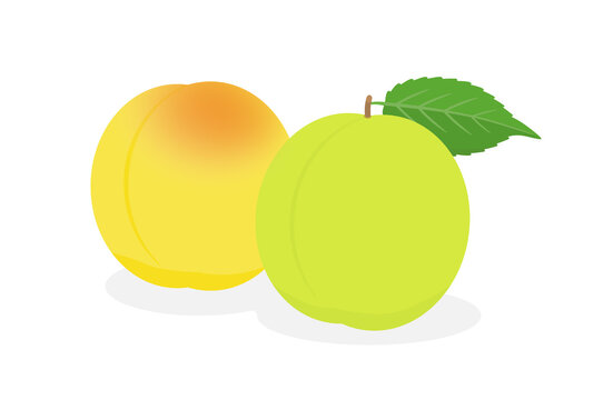 梅シロップ の画像 1 151 件の Stock 写真 ベクターおよびビデオ Adobe Stock