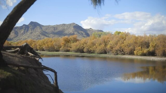 Walking along the tree-lined Arizona Tonto National Forest scenic view of colorful trees flowing water and mountains under blue sky with white clouds.