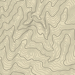 The stylized height of the topographic contour in lines and contours. The concept of a conditional geography scheme and the terrain path. 1x1 size. Vector illustration.