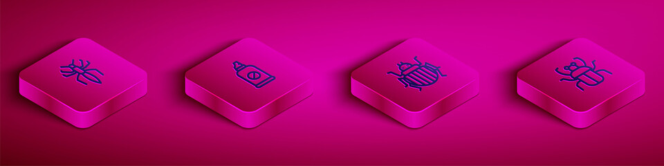 Set Isometric line Spider, Spray against insects, Colorado beetle and Stink bug icon. Vector