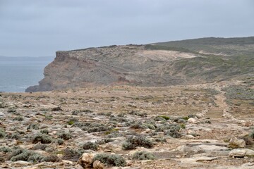 Bleak windswept hiking trail on the Great Southern Way coastal walk in Victoria