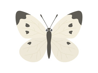 モンシロチョウのイラスト