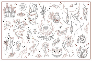 Set  hand drawn vector isolated elements of Mysticism. Witchcraft attributes. Hands. Snake. Plants. Crystal. Black hand drawn doodle on a white background. Insects. Moon. Bone.