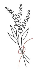 Vector isolated element. A bouquet of flowers. Lavender. Elegance. Mysticism. Black hand drawn doodle on a white background. The print is used for packaging