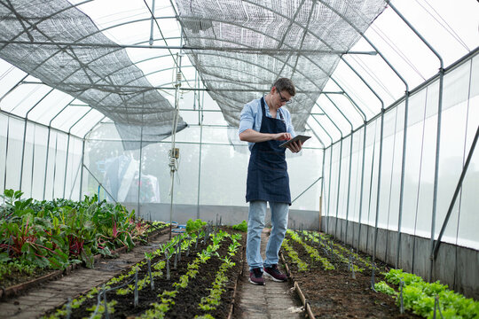 Smart modern agriculture people holding tablet