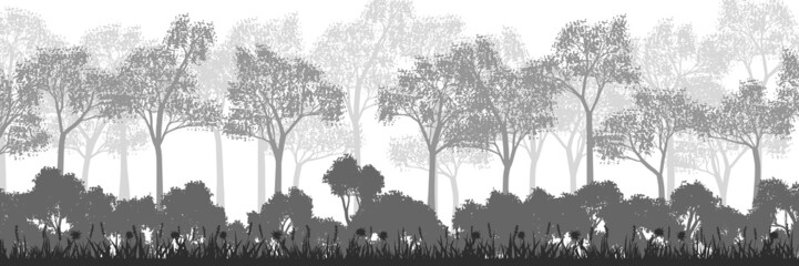 Deciduous forest on a summer morning, panoramic view, vector illustration