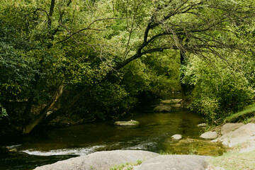 Arroyo o pequeño río corriendo por el bosque entre los árboles en Villa Amancay