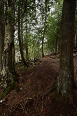 Cascade River State Park