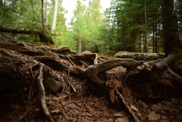 Cascade River State Park
