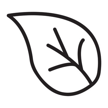 leaf outline icon