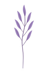 Fototapeta premium purple branches with leafs