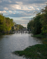Fototapeta premium Wooden bridge over the canal , Pathumtani ,Thailand 