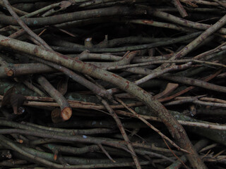 woodcut photo for firewood