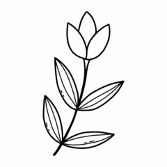 Doodle flower on white background. Vector illustration with  plant. Coloring book for kids. Postcard design.