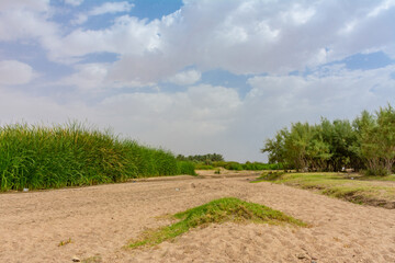 Arabian Landscape