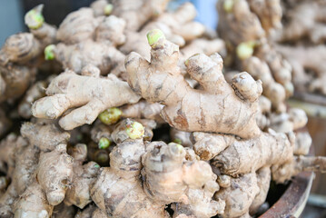 Fresh organic ginger on fresh market in thailand, fresh ginger plant farm harvest ginger root on...