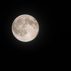 full brigth moon in a clear night sky