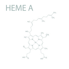 Heme A molecular skeletal chemical formula.	
