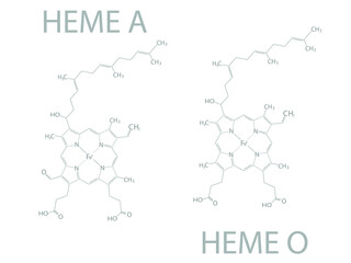 Heme A or Heme O molecular skeletal chemical formula.	
